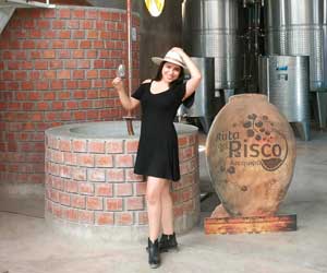la ruta del pisco